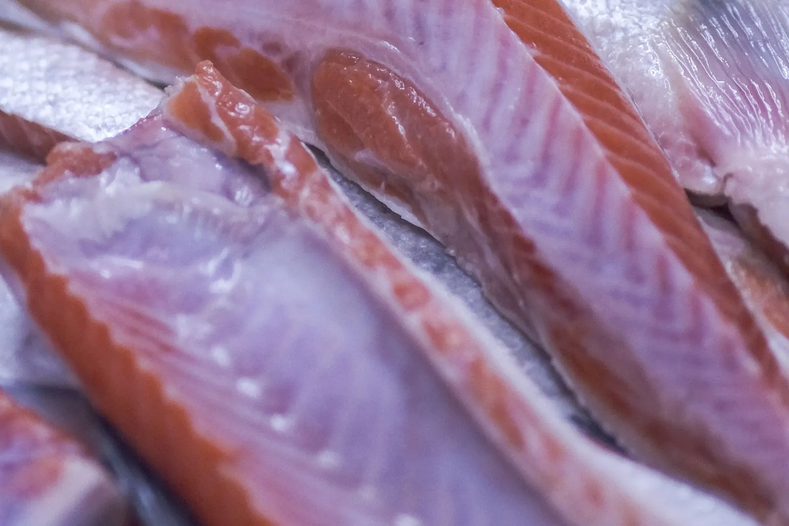 Línea Pescado y mariscos